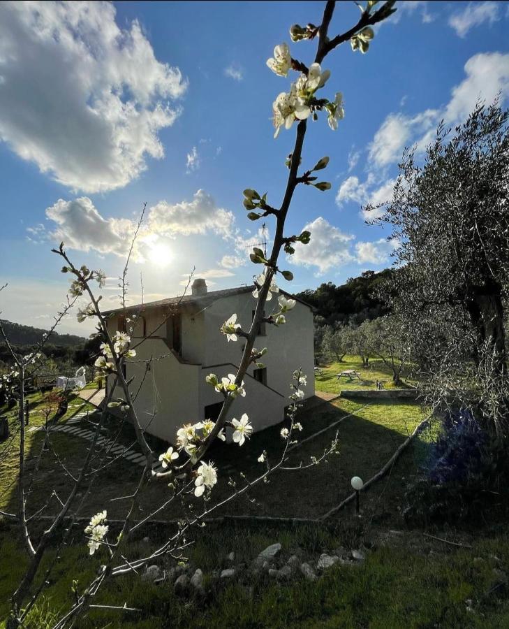 Agriturismo Il Sorbo Appartamento Menta Sticciano Luaran gambar